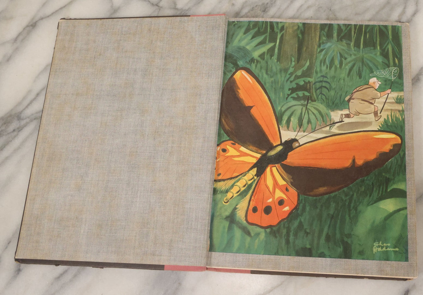 Lot 099 - "Homebodies" Vintage Illustrated Book By Charles Addams, Featuring The Characters Of The Addams Family, Simon And Schuster, Publishers, New York, 1954, Second Printing