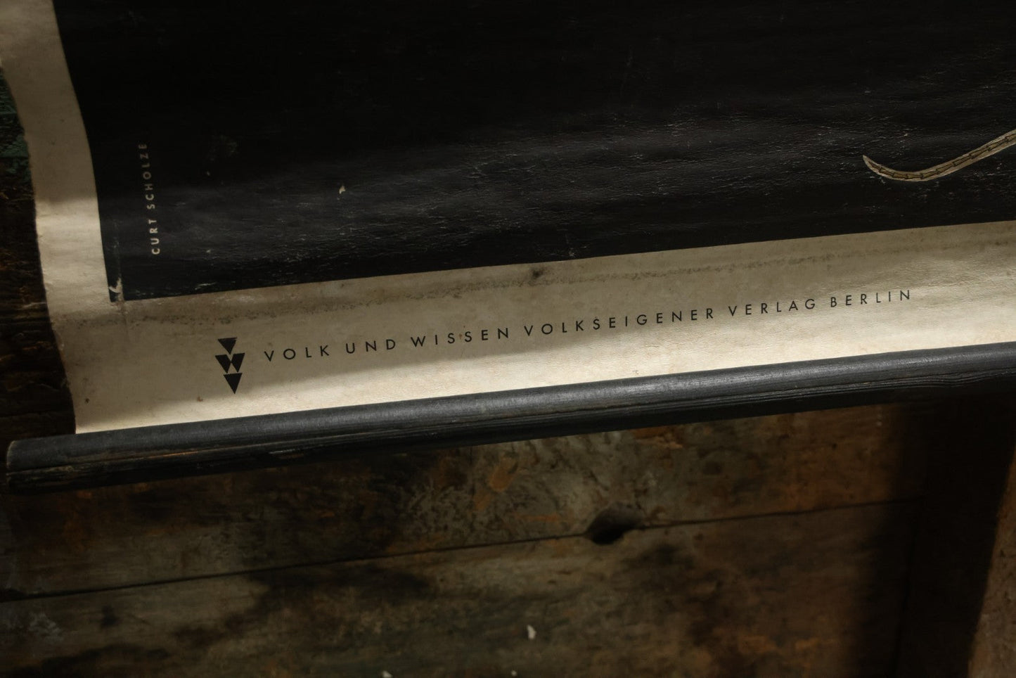 Lot 004 - Vintage German Lizard Skeleton Anatomy Poster, Published By Volk Und Wissen Volkseigener Verlag, Berlin, Curt Scholze, 48" Across x 32" Long Unrolled Including Hangers