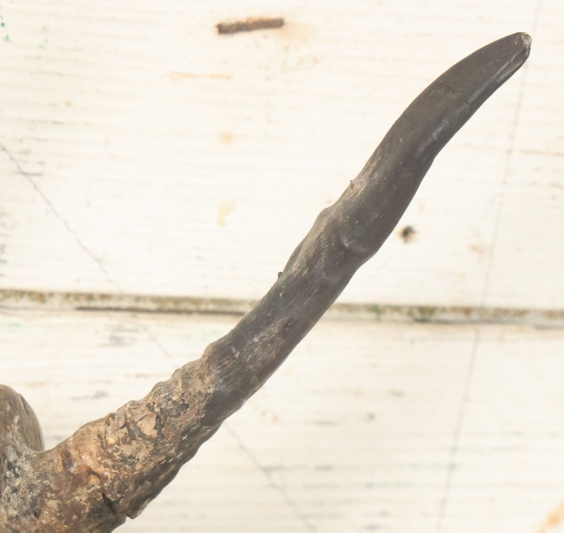 Lot 006 - Vintage Folk Art Devil Mask With Real Animal Horns And Whistling Mouth, Hand Carved Wood, Hand Painted, With Wire Hanger