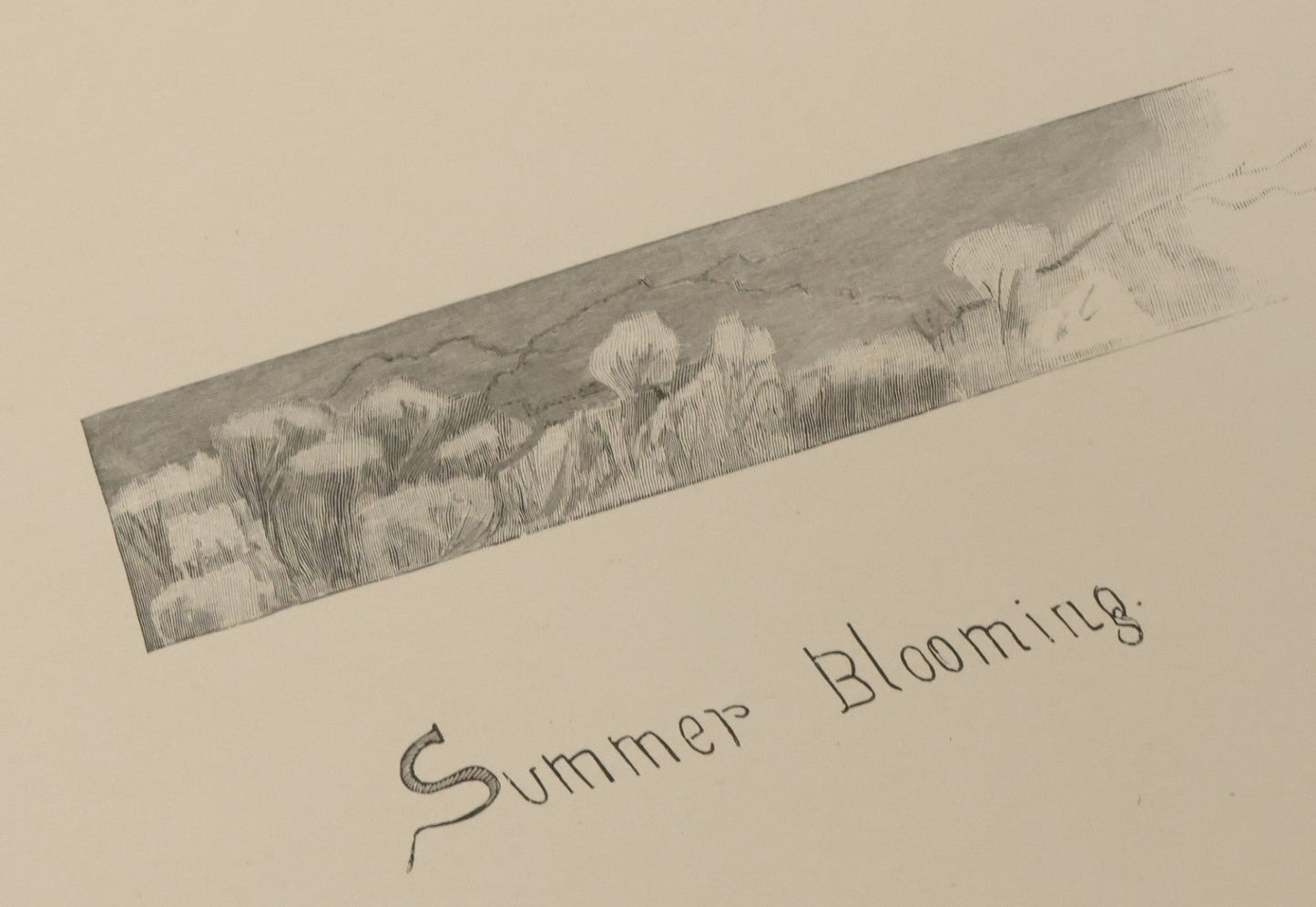 Lot 141 - "Summerland" Antique Illustrated Poetry Book By Margaret MacDonald Pullman, Profusely Illustrated With Nature Scenes, Butterflies, Etc. Copyright 1890 By Lee Ann Shepherd, Note Binding Loosening