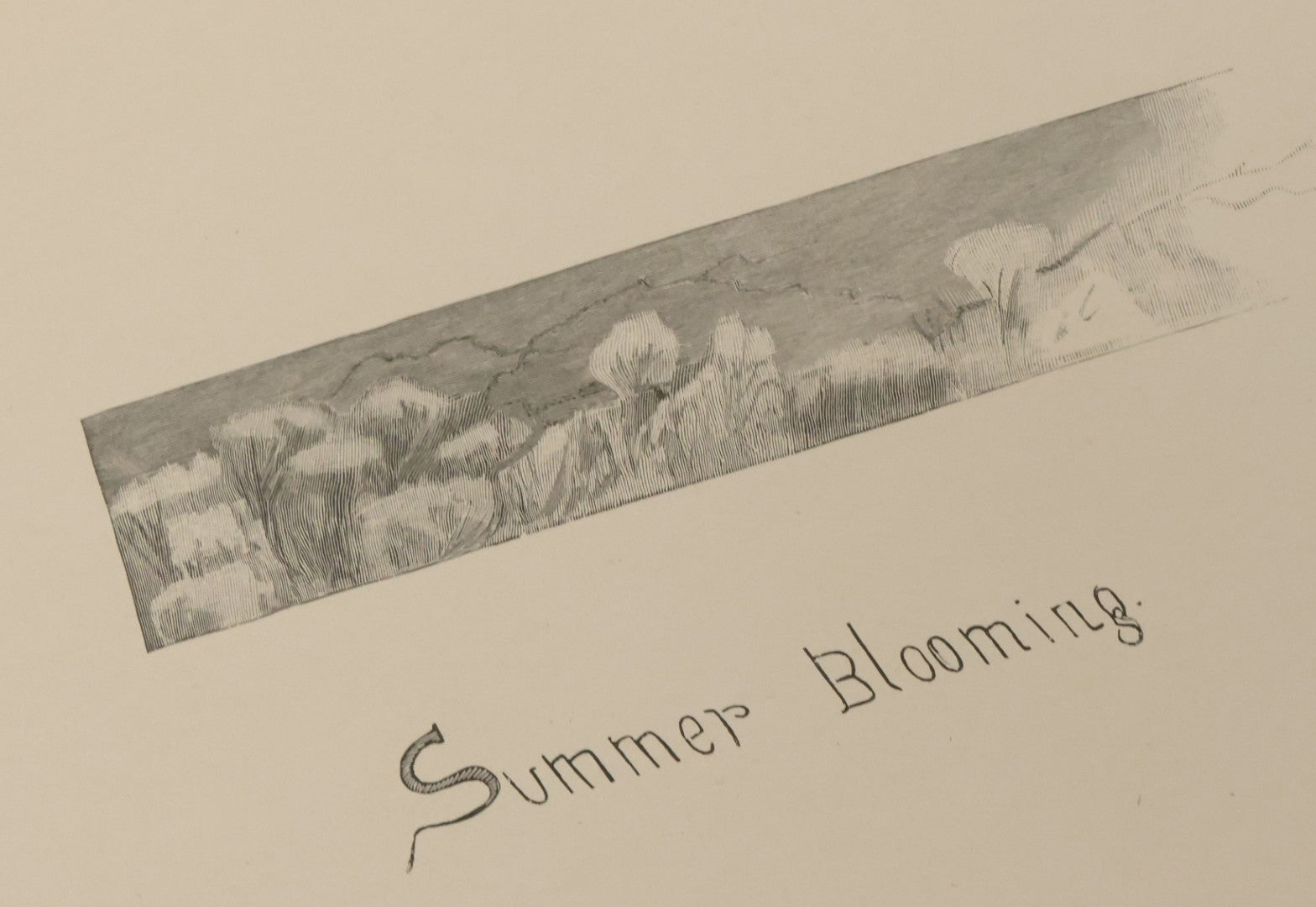 Lot 141 - "Summerland" Antique Illustrated Poetry Book By Margaret MacDonald Pullman, Profusely Illustrated With Nature Scenes, Butterflies, Etc. Copyright 1890 By Lee Ann Shepherd, Note Binding Loosening
