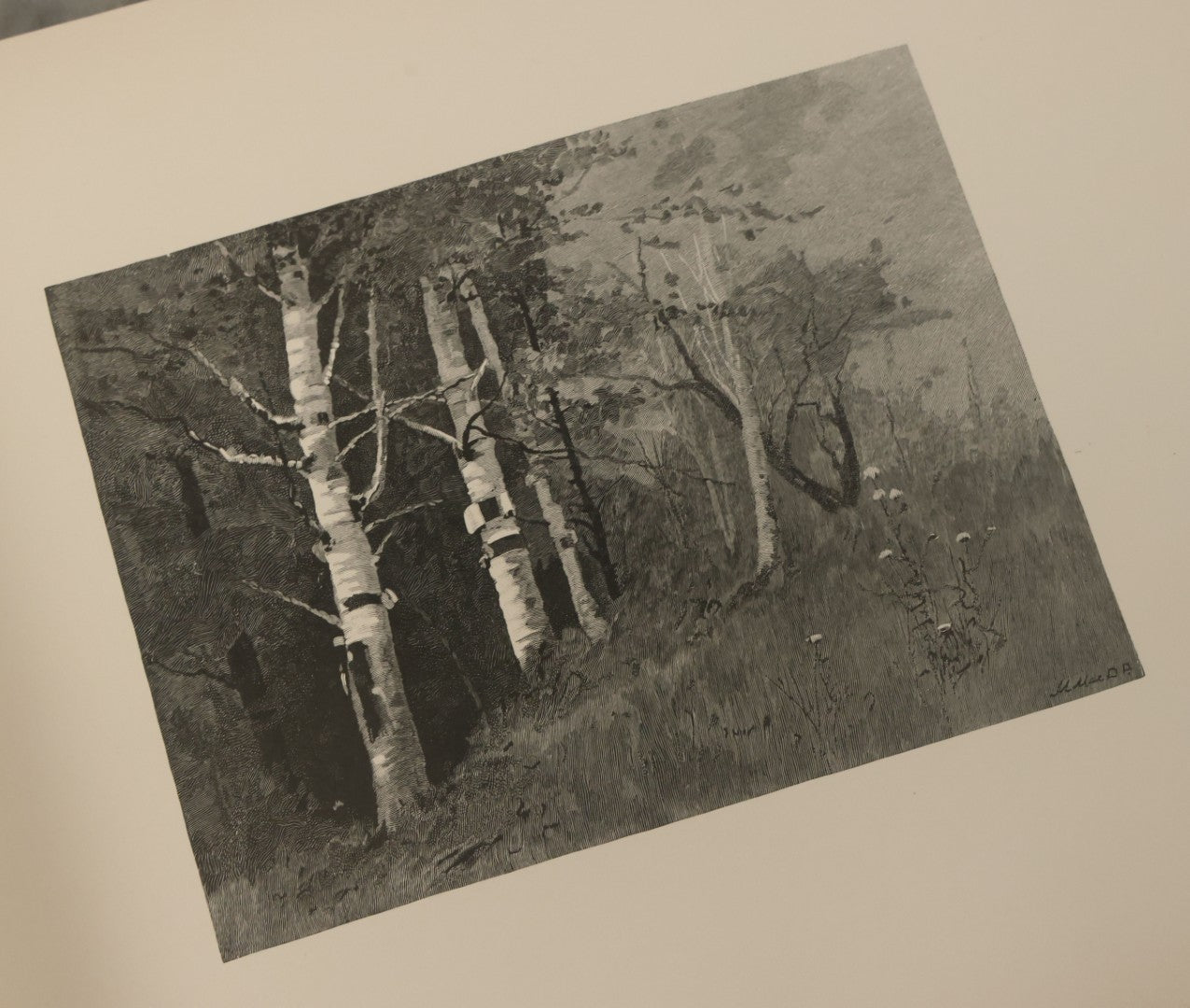 Lot 141 - "Summerland" Antique Illustrated Poetry Book By Margaret MacDonald Pullman, Profusely Illustrated With Nature Scenes, Butterflies, Etc. Copyright 1890 By Lee Ann Shepherd, Note Binding Loosening