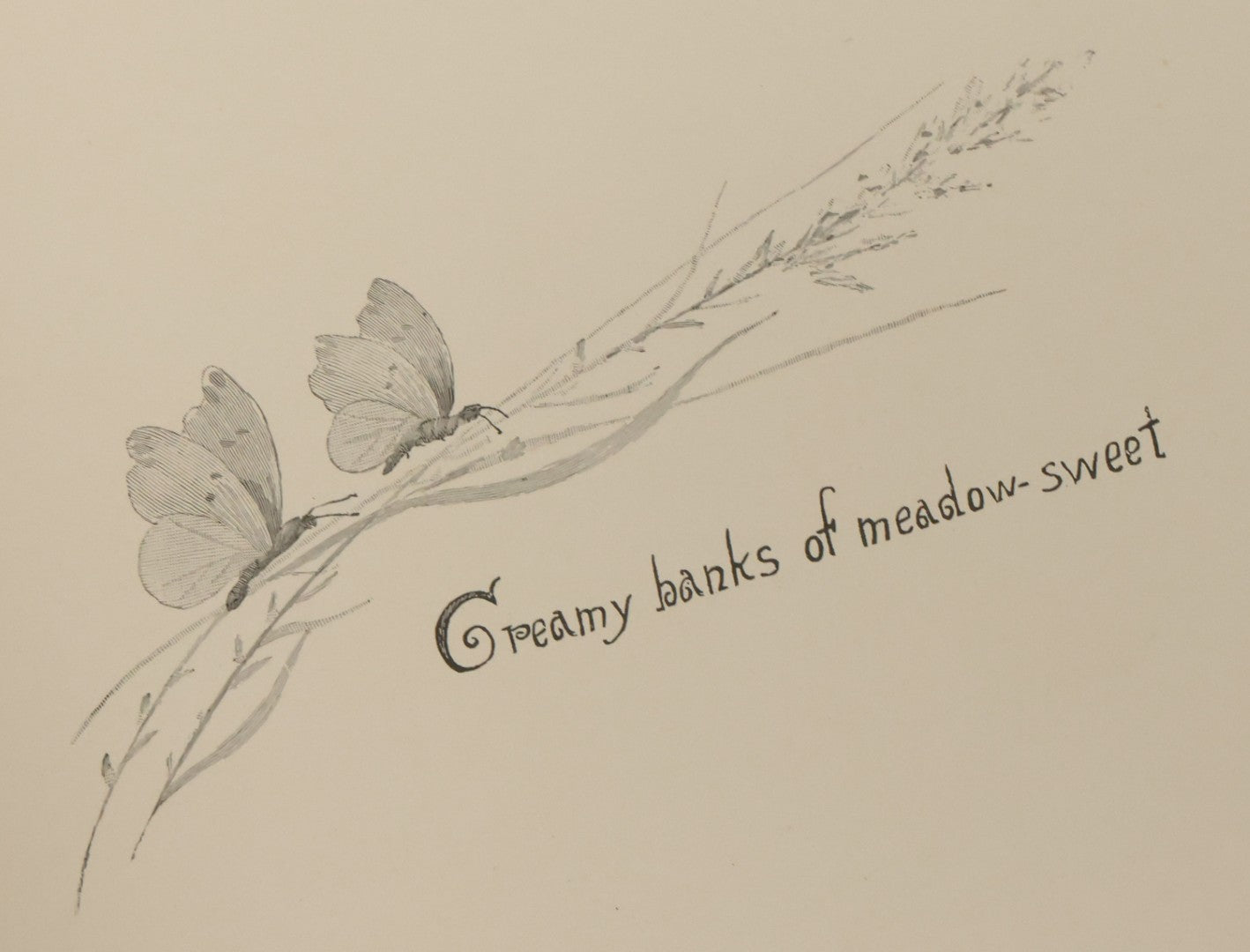 Lot 141 - "Summerland" Antique Illustrated Poetry Book By Margaret MacDonald Pullman, Profusely Illustrated With Nature Scenes, Butterflies, Etc. Copyright 1890 By Lee Ann Shepherd, Note Binding Loosening