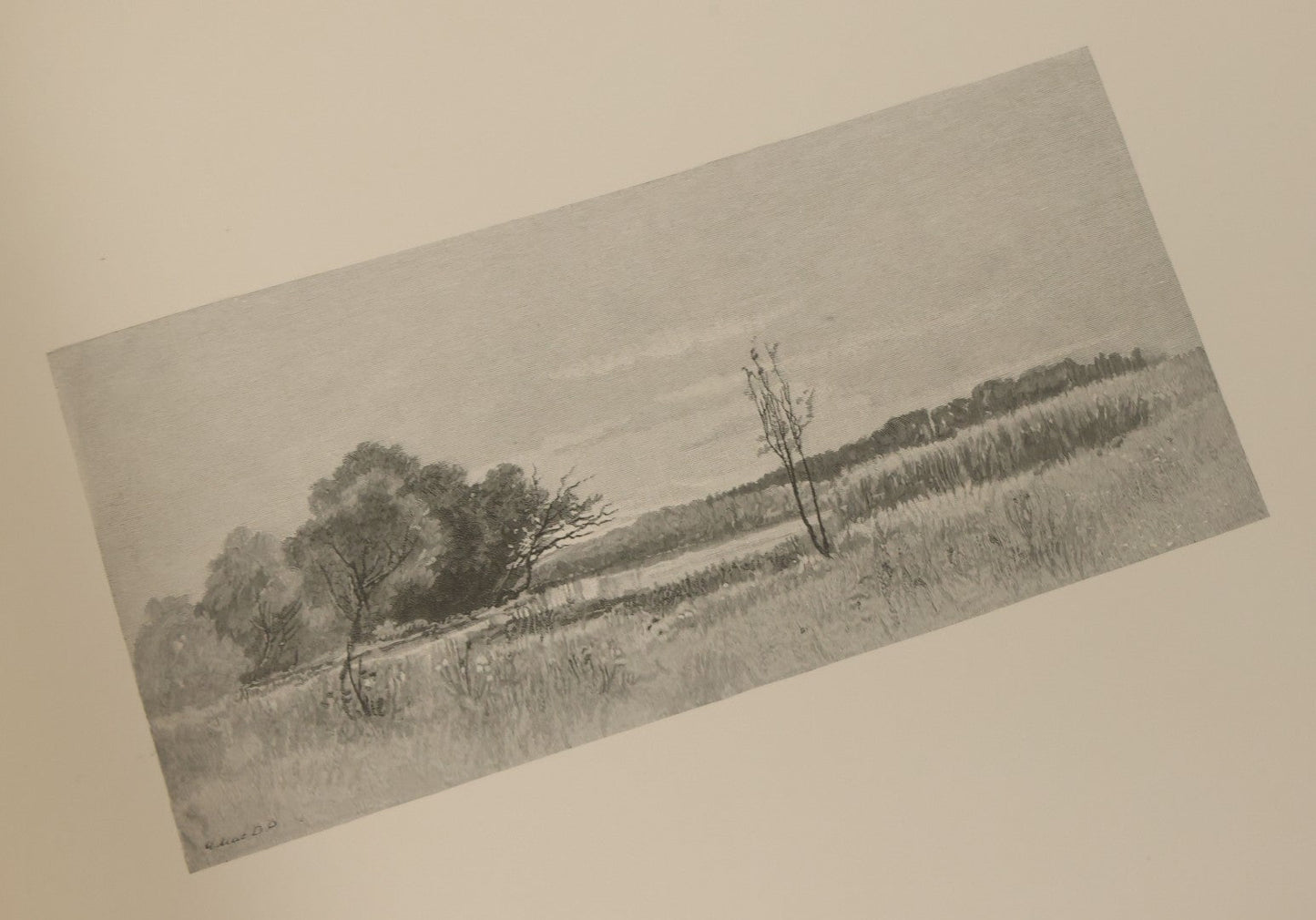 Lot 141 - "Summerland" Antique Illustrated Poetry Book By Margaret MacDonald Pullman, Profusely Illustrated With Nature Scenes, Butterflies, Etc. Copyright 1890 By Lee Ann Shepherd, Note Binding Loosening