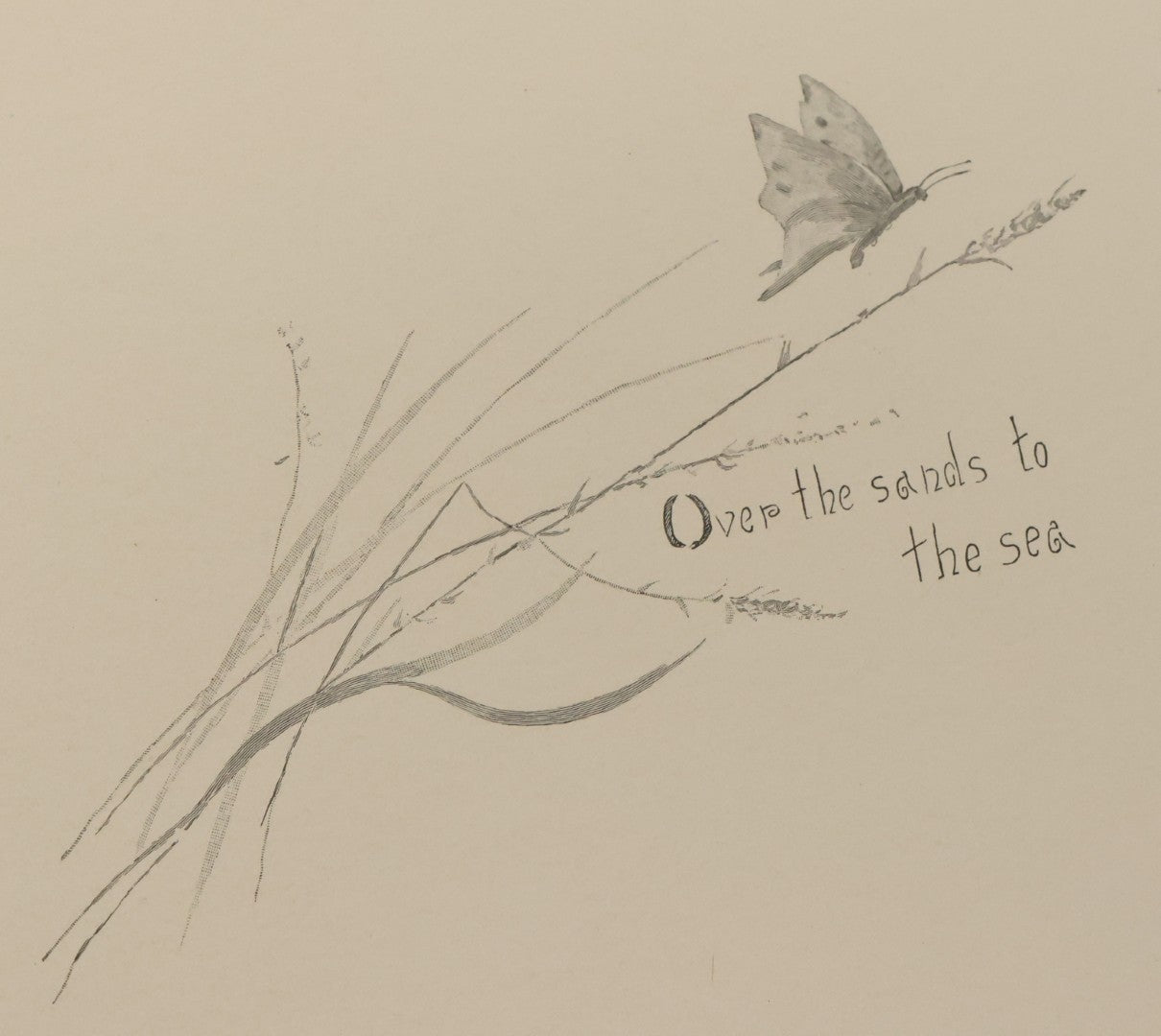 Lot 141 - "Summerland" Antique Illustrated Poetry Book By Margaret MacDonald Pullman, Profusely Illustrated With Nature Scenes, Butterflies, Etc. Copyright 1890 By Lee Ann Shepherd, Note Binding Loosening