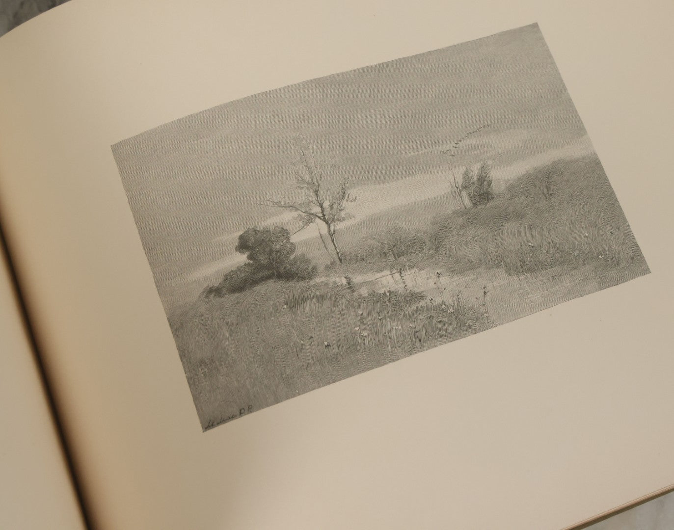 Lot 141 - "Summerland" Antique Illustrated Poetry Book By Margaret MacDonald Pullman, Profusely Illustrated With Nature Scenes, Butterflies, Etc. Copyright 1890 By Lee Ann Shepherd, Note Binding Loosening