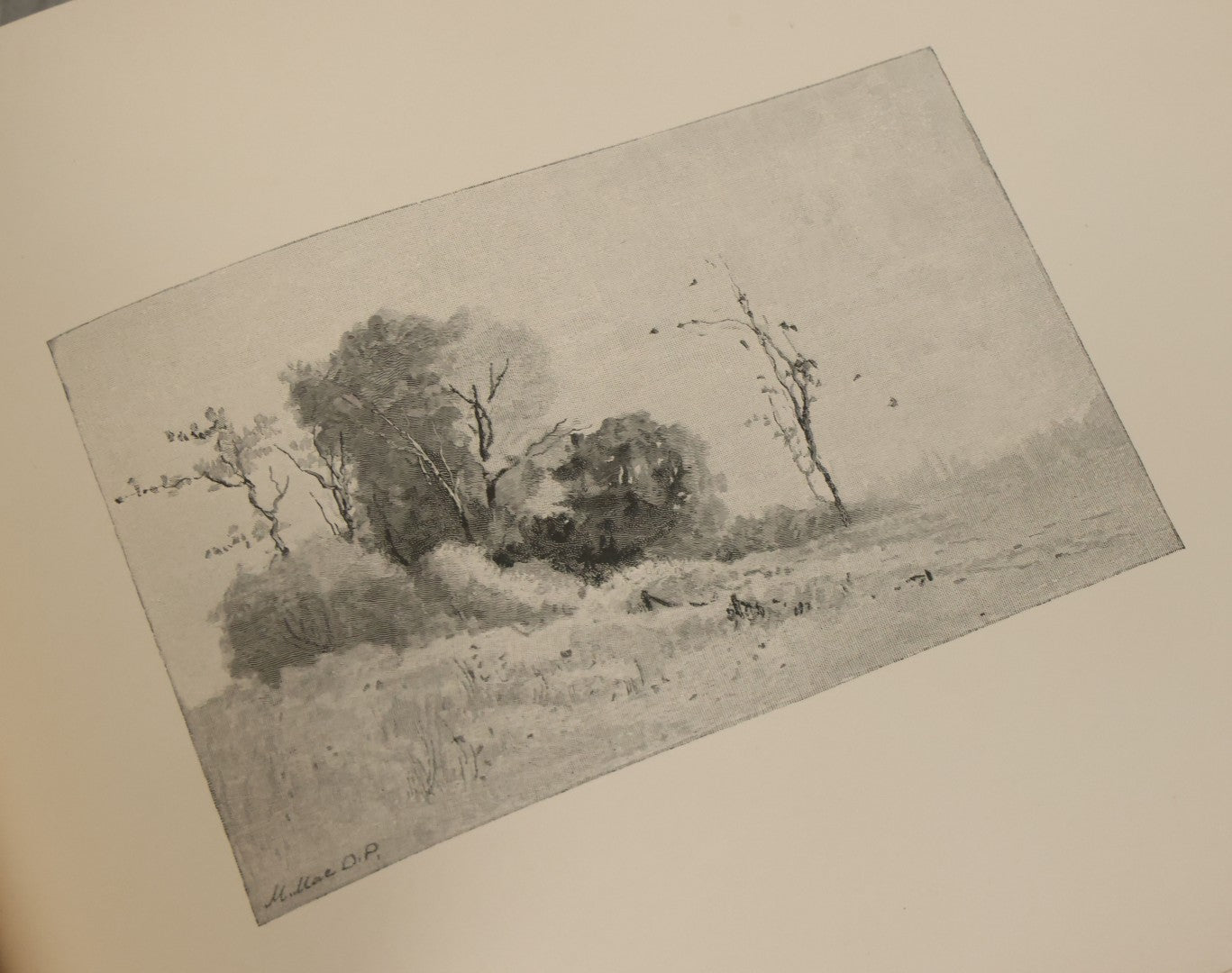 Lot 141 - "Summerland" Antique Illustrated Poetry Book By Margaret MacDonald Pullman, Profusely Illustrated With Nature Scenes, Butterflies, Etc. Copyright 1890 By Lee Ann Shepherd, Note Binding Loosening