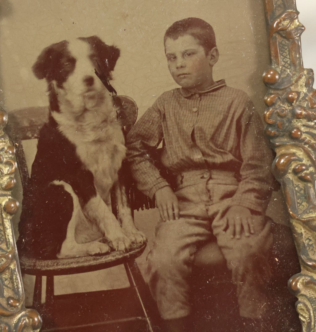 Lot 023 - Antique Tintype Photograph Of Young Boy And Border Collie Dog Seated On Chair, In Period Pressed Brass Ormolu Frame With Kickstand