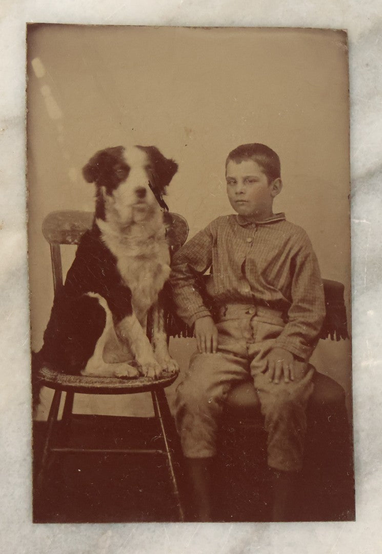 Lot 023 - Antique Tintype Photograph Of Young Boy And Border Collie Dog Seated On Chair, In Period Pressed Brass Ormolu Frame With Kickstand