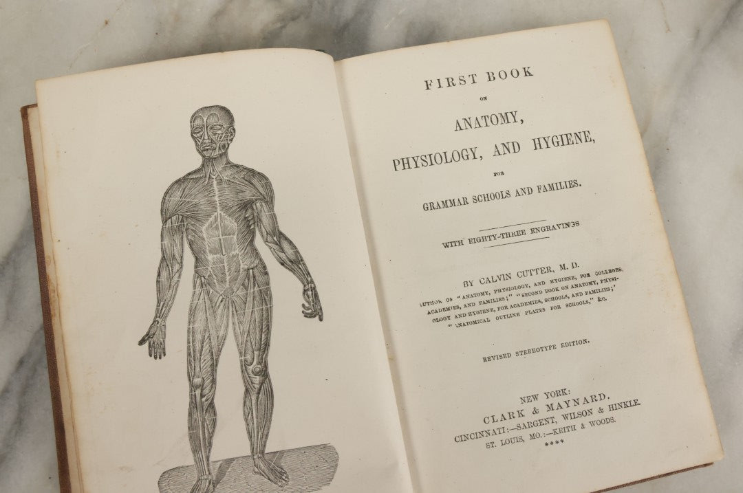 Lot 030 - "First Book On Anatomy, Physiology, And Hygiene, For Grammar Schools And Families" Antique Medical Book By Calvin Cutter, M.D. With 83 Engraved Illustrations, Clark & Maynard Publishers, New York 1852