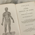 Lot 030 - "First Book On Anatomy, Physiology, And Hygiene, For Grammar Schools And Families" Antique Medical Book By Calvin Cutter, M.D. With 83 Engraved Illustrations, Clark & Maynard Publishers, New York 1852
