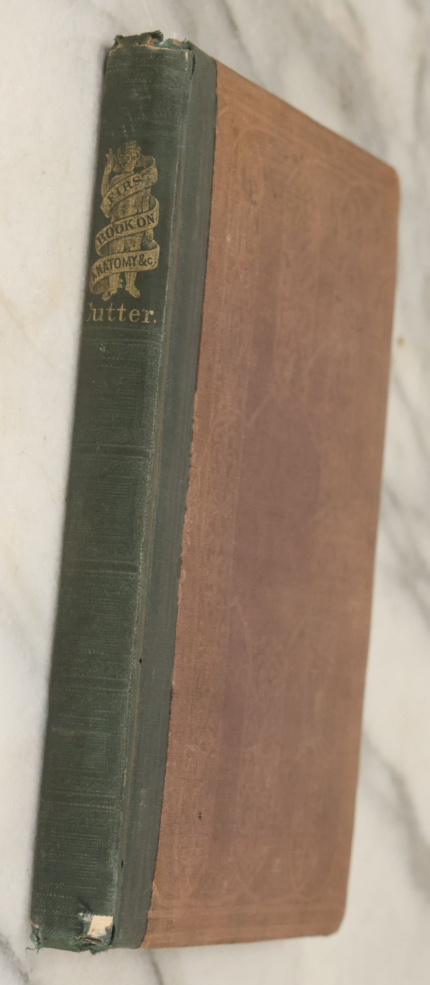 Lot 030 - "First Book On Anatomy, Physiology, And Hygiene, For Grammar Schools And Families" Antique Medical Book By Calvin Cutter, M.D. With 83 Engraved Illustrations, Clark & Maynard Publishers, New York 1852