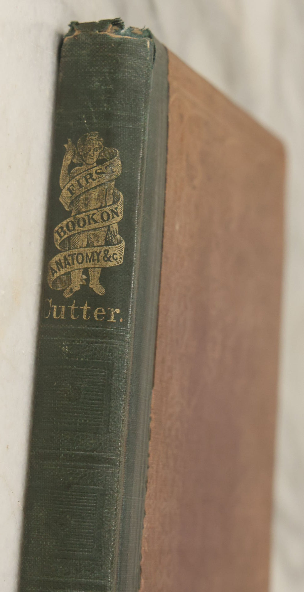 Lot 030 - "First Book On Anatomy, Physiology, And Hygiene, For Grammar Schools And Families" Antique Medical Book By Calvin Cutter, M.D. With 83 Engraved Illustrations, Clark & Maynard Publishers, New York 1852