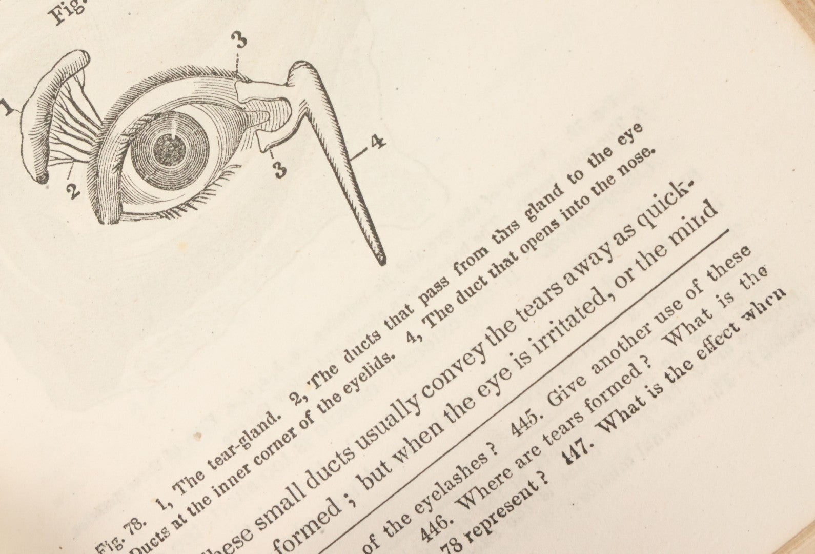 Lot 030 - "First Book On Anatomy, Physiology, And Hygiene, For Grammar Schools And Families" Antique Medical Book By Calvin Cutter, M.D. With 83 Engraved Illustrations, Clark & Maynard Publishers, New York 1852