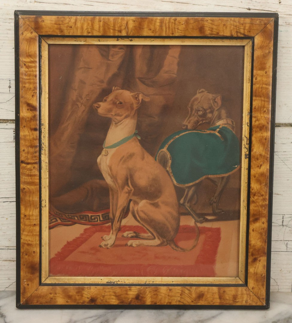 Lot 043 - Antique Chromolithograph Print Of Two Italian Greyhound Dogs With Suspicious Expressions, In Frame, 12" x 14"