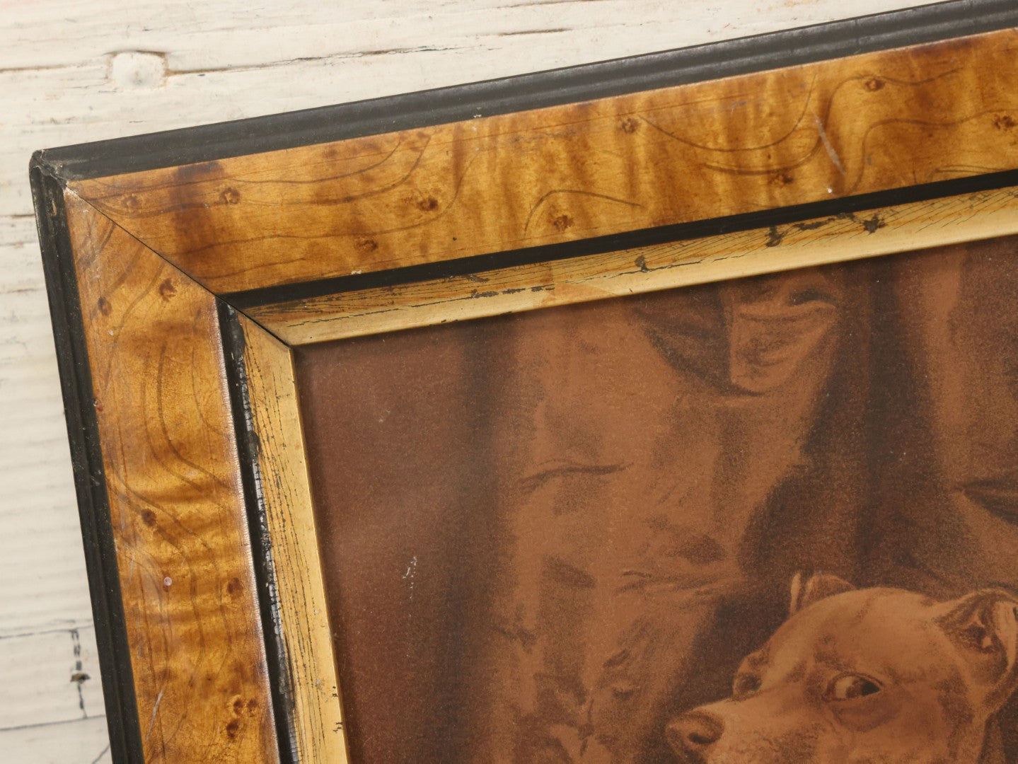 Lot 043 - Antique Chromolithograph Print Of Two Italian Greyhound Dogs With Suspicious Expressions, In Frame, 12" x 14"