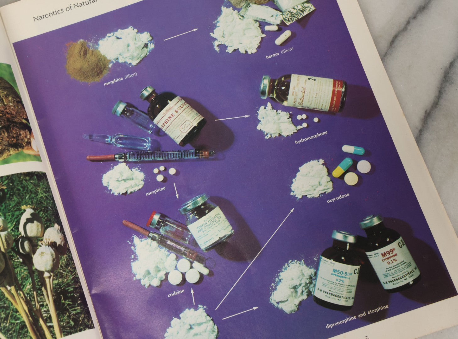 Lot 061 - "Drugs Of Abuse" United States Department Of Justice & Drug Enforcement Administration, D.E.A., Educational Pamphlet, Published By Carter Administration, 1977