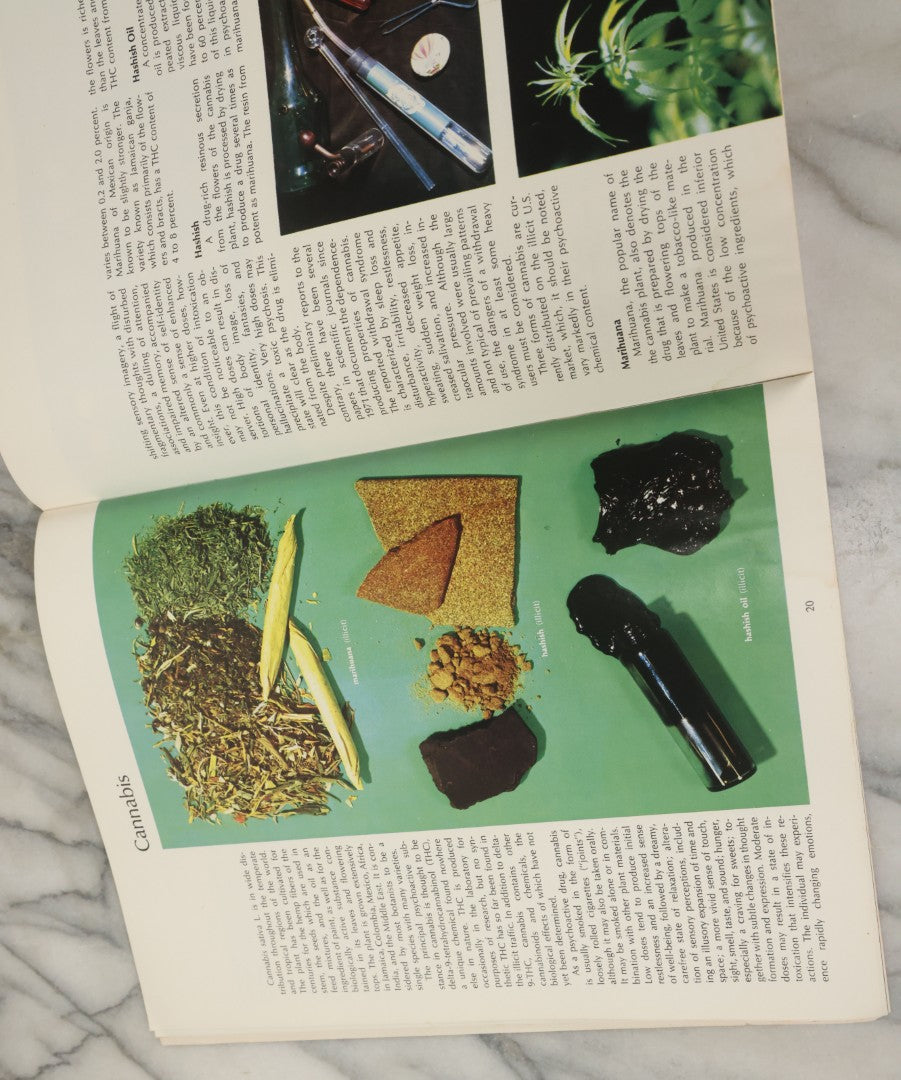 Lot 061 - "Drugs Of Abuse" United States Department Of Justice & Drug Enforcement Administration, D.E.A., Educational Pamphlet, Published By Carter Administration, 1977