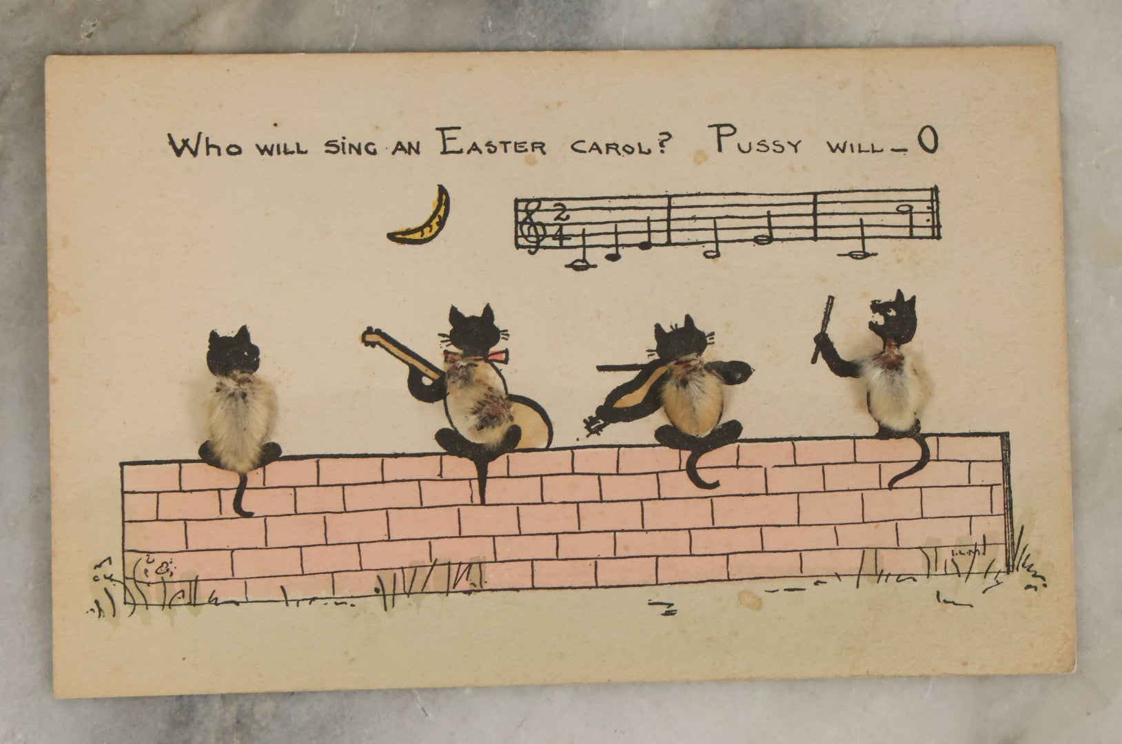 Lot 063 - Single Antique Postcard "Who Will Sing An Easter Carol? Pussy Will-O" Cat Illustration With Real Pussywillow Specimans, Published By C.O. Tucker, Boston