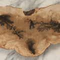 Lot 065 - Large Vintage Fungus Specimen With Naturally Occuring Fractal Pattern, Approximately 15-3/8" Total Width