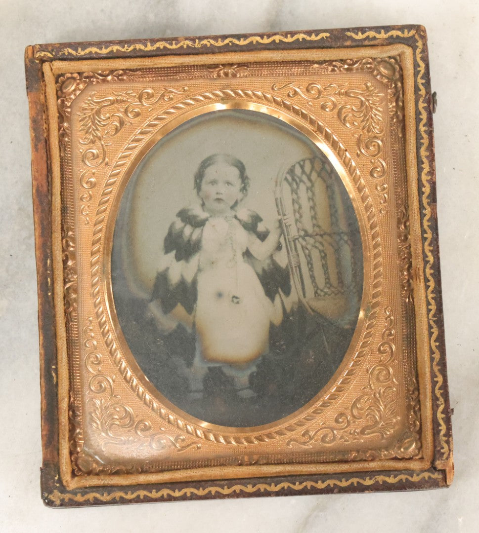 Lot 104 - Antique 1/6th Plate Tintype Photograph Of Toddler With Fur Cape, Tinted Lips And Cheeks, Jewelry, In Half Leatherette Case With Crane Motif