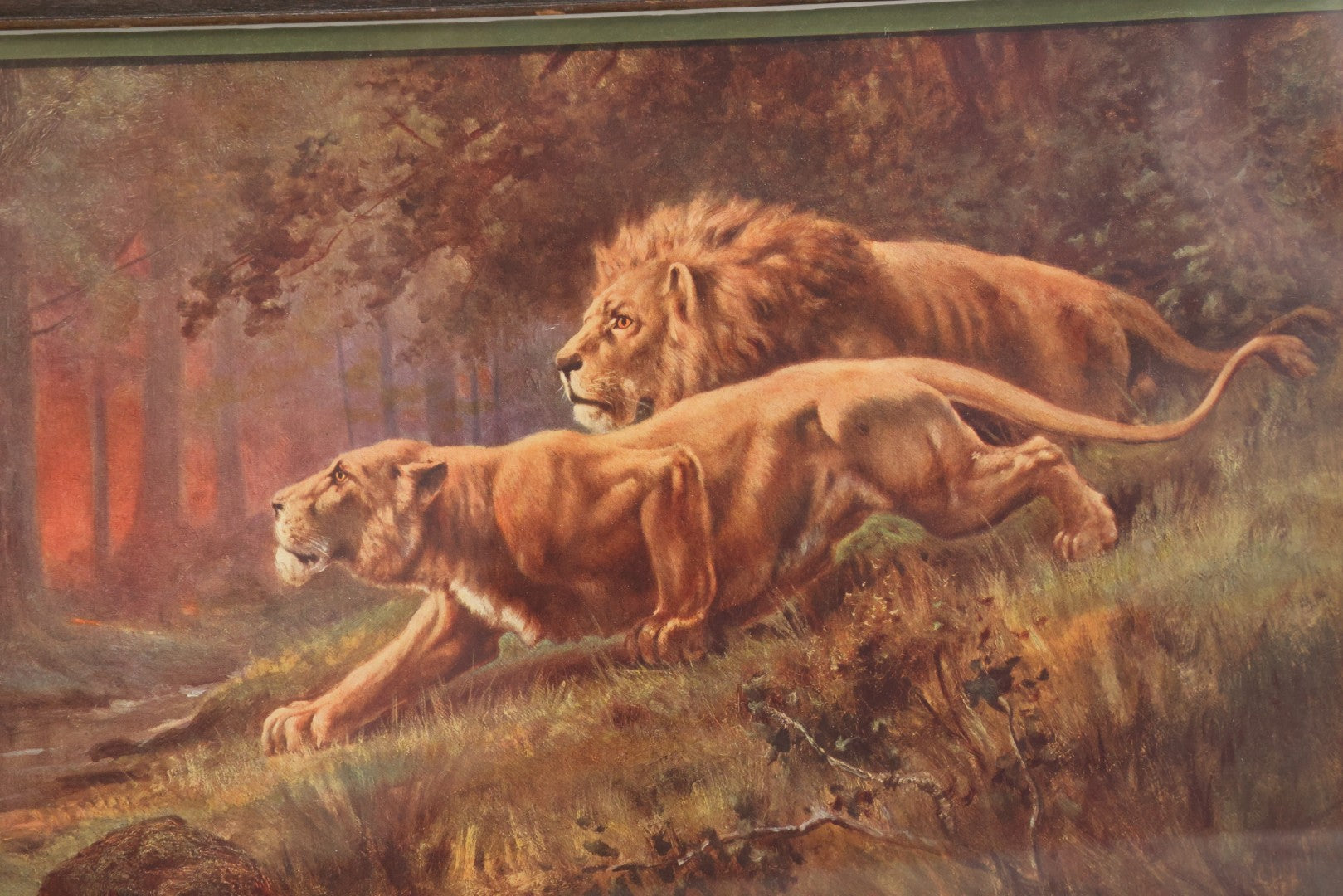 Lot 047 - Antique Print Of Lion And Lioness Titled Discretion Is The Better Part Of Valor, After A Painting By Lewis, Copyright 1916, The T.D.M. Co., Red Oak Iowa, Framed, 18-5/8" x 12-5/8"