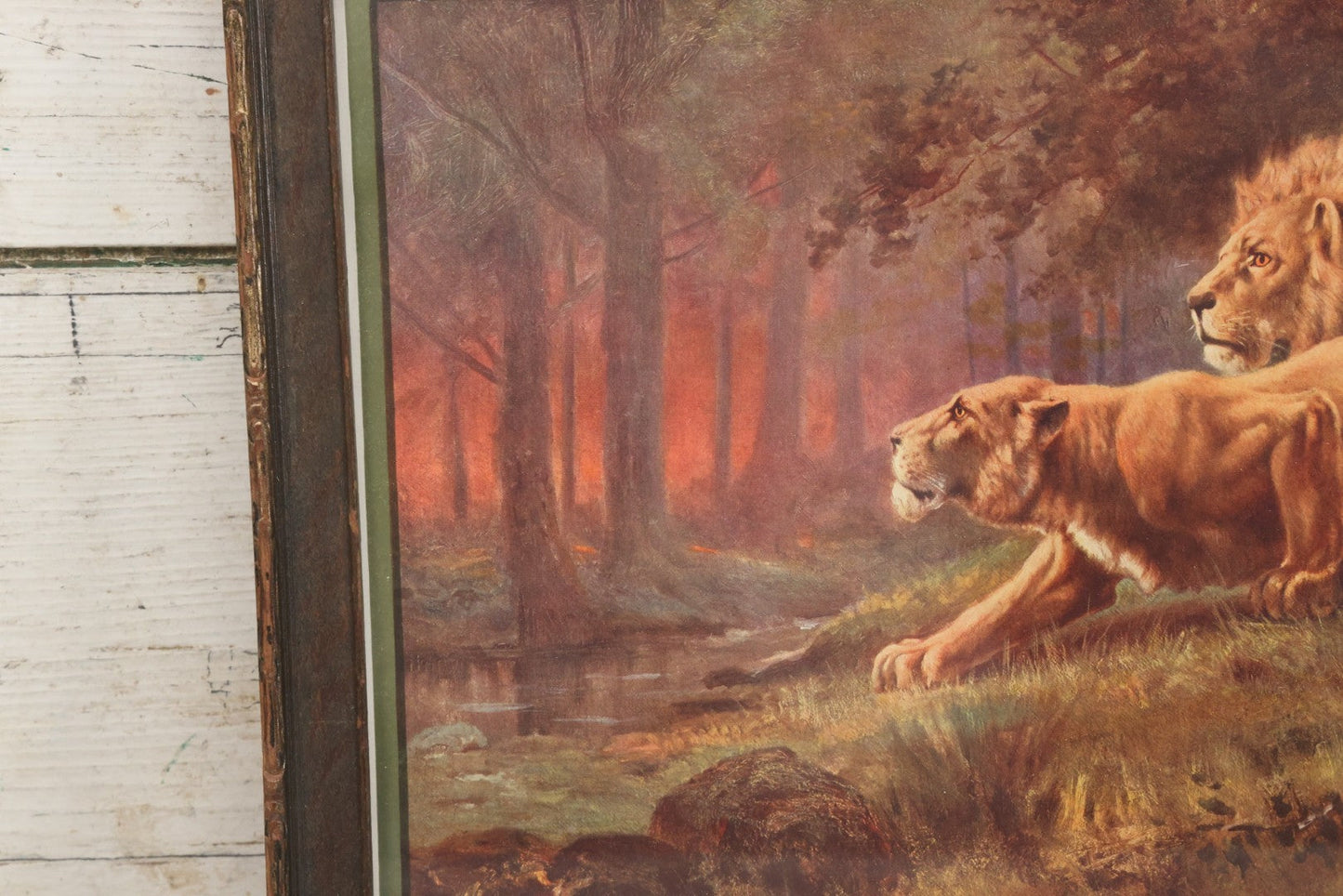 Lot 047 - Antique Print Of Lion And Lioness Titled Discretion Is The Better Part Of Valor, After A Painting By Lewis, Copyright 1916, The T.D.M. Co., Red Oak Iowa, Framed, 18-5/8" x 12-5/8"