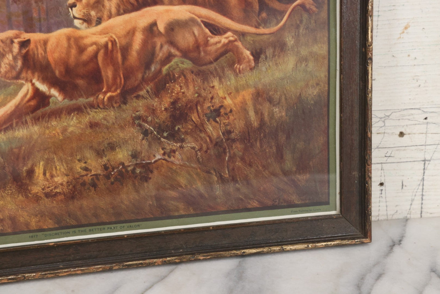 Lot 047 - Antique Print Of Lion And Lioness Titled Discretion Is The Better Part Of Valor, After A Painting By Lewis, Copyright 1916, The T.D.M. Co., Red Oak Iowa, Framed, 18-5/8" x 12-5/8"