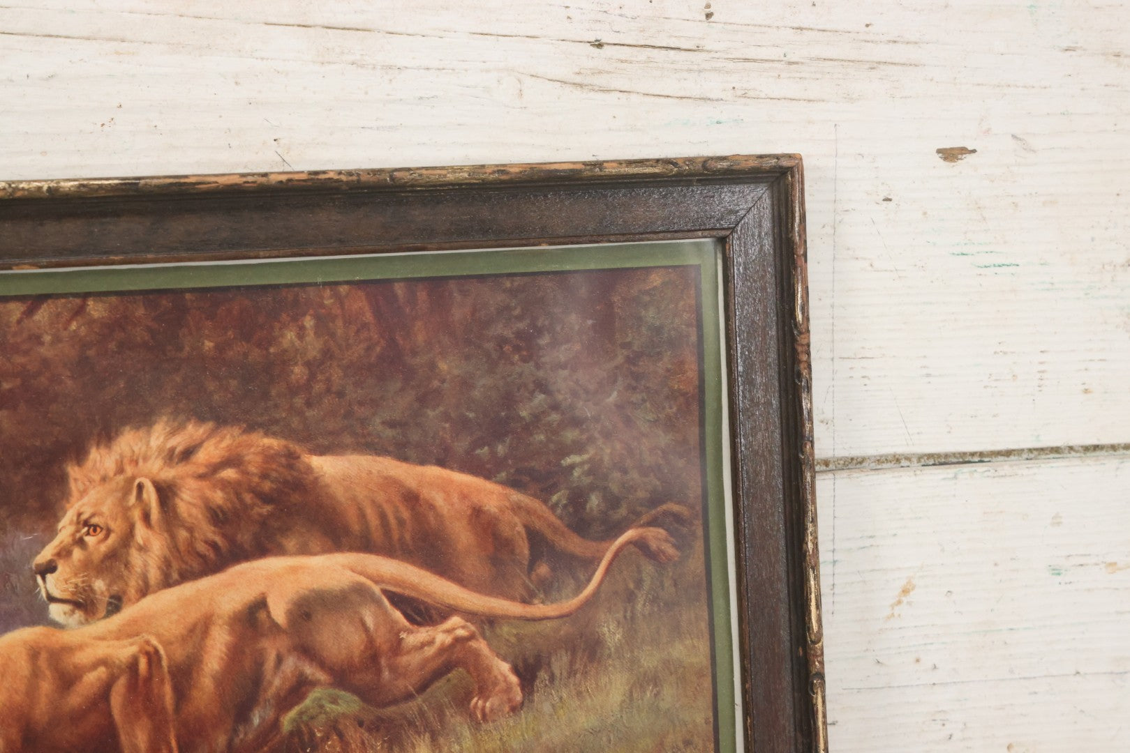 Lot 047 - Antique Print Of Lion And Lioness Titled Discretion Is The Better Part Of Valor, After A Painting By Lewis, Copyright 1916, The T.D.M. Co., Red Oak Iowa, Framed, 18-5/8" x 12-5/8"