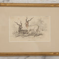 Lot 051 - Antique Hand Colored Engraving Natural History Print Of "The Addax", Antelope Native Of Nubia, Engraved By Lizards After Stewart, Plate No. 25, In Modern Frame, 10-1/4" x 7-5/8"