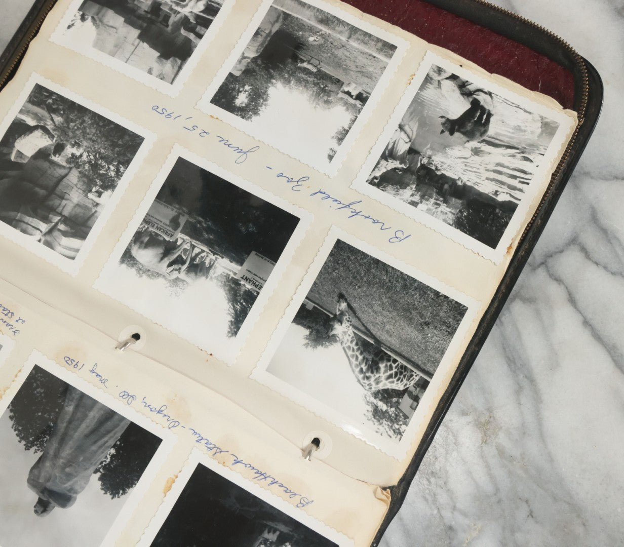 Lot 074 - Vintage Photo Album And Scrapbook Including Many Snapshot Photographs And Postcards Of Travel In The Midwestern And Western U.S., Circa 1950 To 1970, In Leather Folio, Not All Pages Pictured