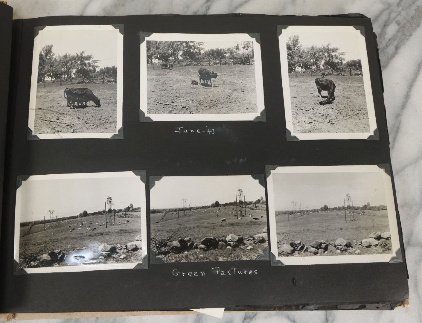Lot 075 - Vintage WWII Era (1940s) Snapshot Photo Album Featuring Many Photos Of Soldiers, Boston, Farm Animals, Belonged To Francis And Melvin De Jaqer, Photos From Camp Forrest Tennessee, All Photos Pictured