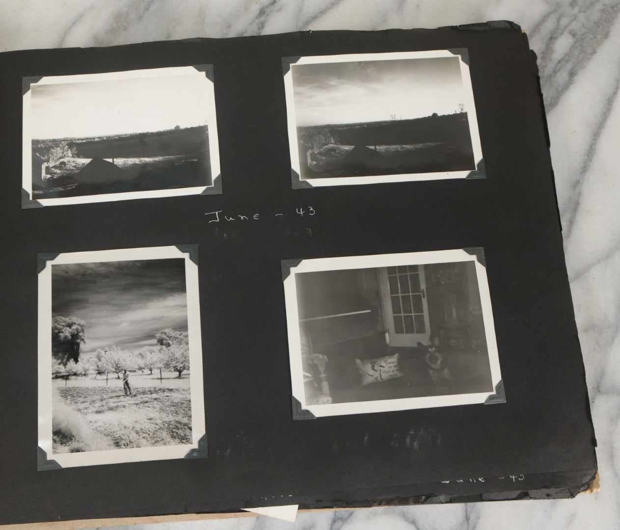 Lot 075 - Vintage WWII Era (1940s) Snapshot Photo Album Featuring Many Photos Of Soldiers, Boston, Farm Animals, Belonged To Francis And Melvin De Jaqer, Photos From Camp Forrest Tennessee, All Photos Pictured