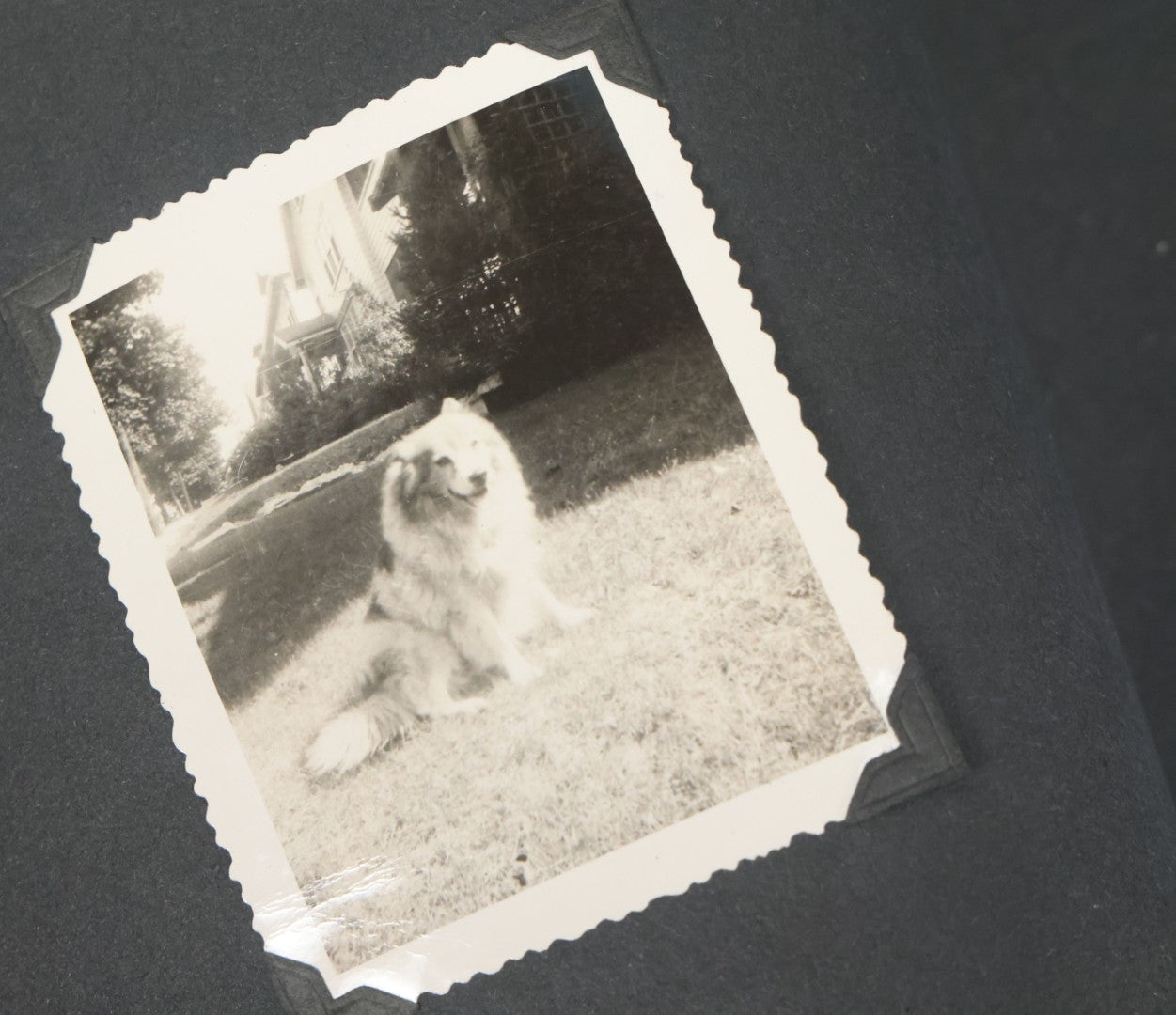 Lot 076 - Vintage Snapshot Photo Album Containing Mostly Photos Of Children And Family And Photos Of Times Square, New York City, Wedding Photos, With Pirate On Cover, Circa 1940s, Note Cover Detached, All Photos Pictured
