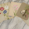 Lot 038 - Grouping Of Five Antique Botanical Watercolor Paintings On Paper Of Flowers And More, Circa 1880, Approximately 7" x 10", Some With Identification (Grouping C)