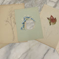 Lot 039 - Grouping Of Five Antique Botanical Watercolor Paintings And Sketches On Paper Of Flowers And More, Circa 1880, Approximately 7" x 10", Some With Identification (Grouping D)
