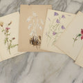 Lot 041 - Grouping Of Six Antique Botanical Watercolor Paintings And Sketches On Paper Of Flowers And More, Circa 1880, Approximately 5" x 7", Some With Identification (Grouping F)