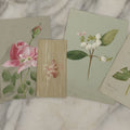 Lot 043 - Grouping Of Five Antique Botanical Watercolor Paintings And Sketches On Paper Of Flowers And More, Circa 1880, Approximately 4" x 6", Some With Identification (Grouping H)