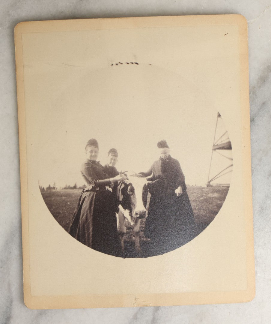 Lot 097 - Grouping Of Thirteen Antique Boarded Photographs / Small Sized Cabinet Cards Of A Group Of People Enjoying A Picnic Outing, Including Photos On Horse Drawn Carriage, With Cow, Etc.