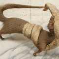 Lot 004 - Vintage Taxidermy Mongoose Fighting A Cobra Full Body Mount, Note Heavy Wear, Losses