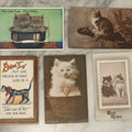 Lot 045 - Grouping Of Five Antique Postcards Of Cats And Kittens, Including Fold-Out South Sea Postcard