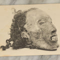 Lot 119 - Vintage Souvenir Postcard From Peabody Museum, Harvard University, Depicting A Severed Tattooed Maori Head, Mokomokai, Printed By The Meriden Gravure Company, Meriden, Connecticut