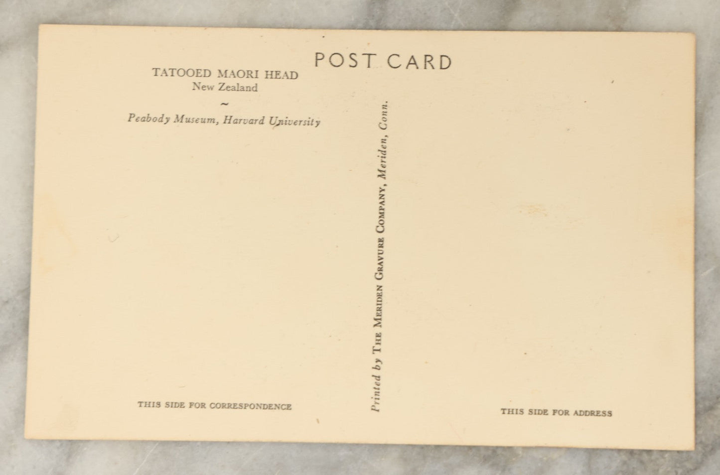 Lot 119 - Vintage Souvenir Postcard From Peabody Museum, Harvard University, Depicting A Severed Tattooed Maori Head, Mokomokai, Printed By The Meriden Gravure Company, Meriden, Connecticut