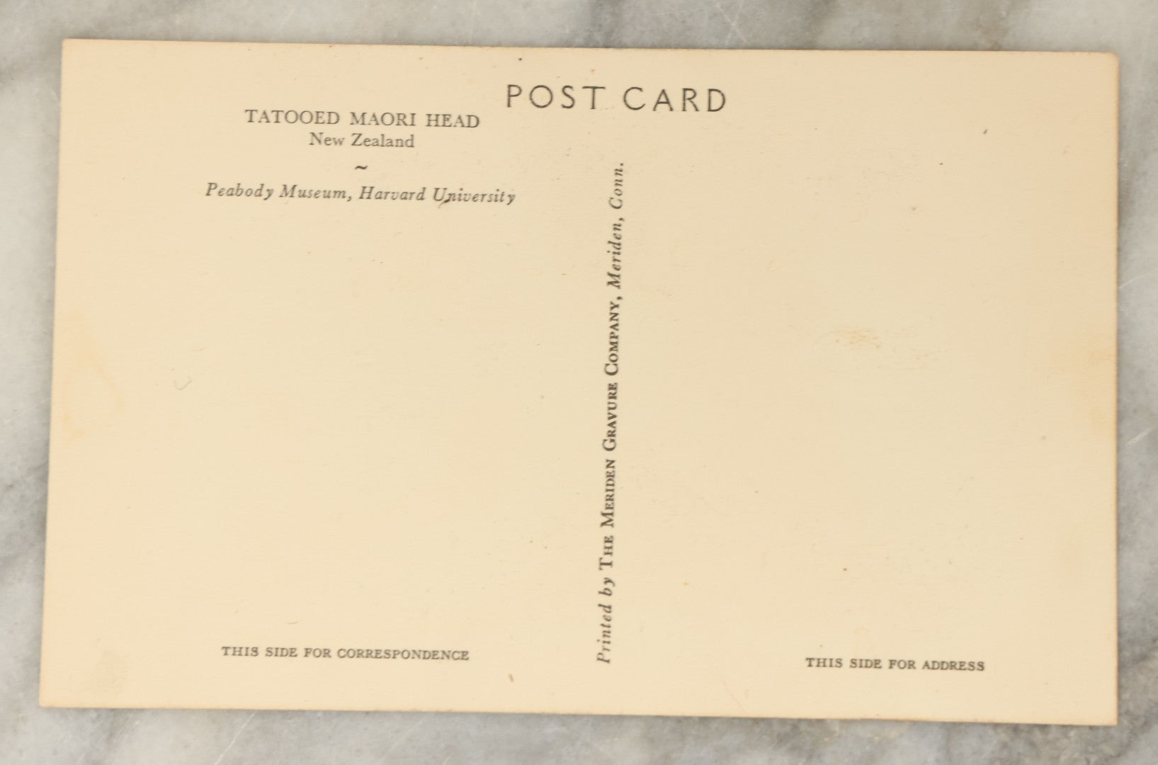 Lot 119 - Vintage Souvenir Postcard From Peabody Museum, Harvard University, Depicting A Severed Tattooed Maori Head, Mokomokai, Printed By The Meriden Gravure Company, Meriden, Connecticut