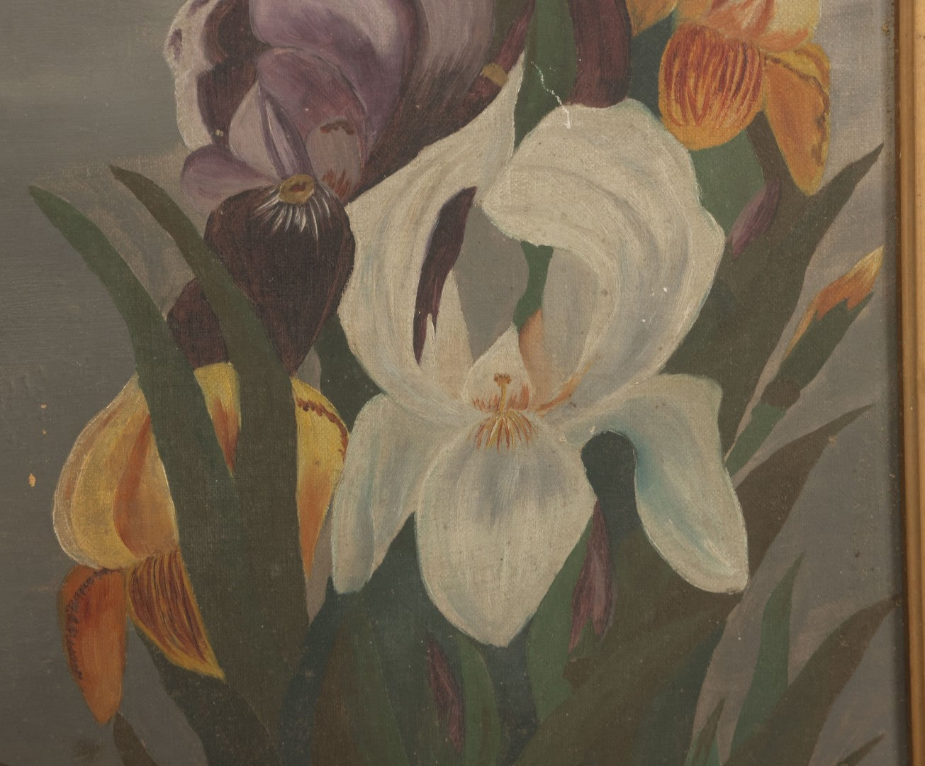Lot 073 - Antique Oil On Canvas Painting Of Purple, Orange, And White Iris Flowers, In Badly Worn Gilt Gesso Frame, Note Wear And Tear, Circa 1880s, Overall Dimensions 16-3/4" x 22-3/4"