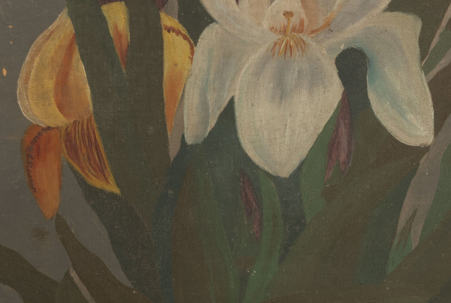 Lot 073 - Antique Oil On Canvas Painting Of Purple, Orange, And White Iris Flowers, In Badly Worn Gilt Gesso Frame, Note Wear And Tear, Circa 1880s, Overall Dimensions 16-3/4" x 22-3/4"