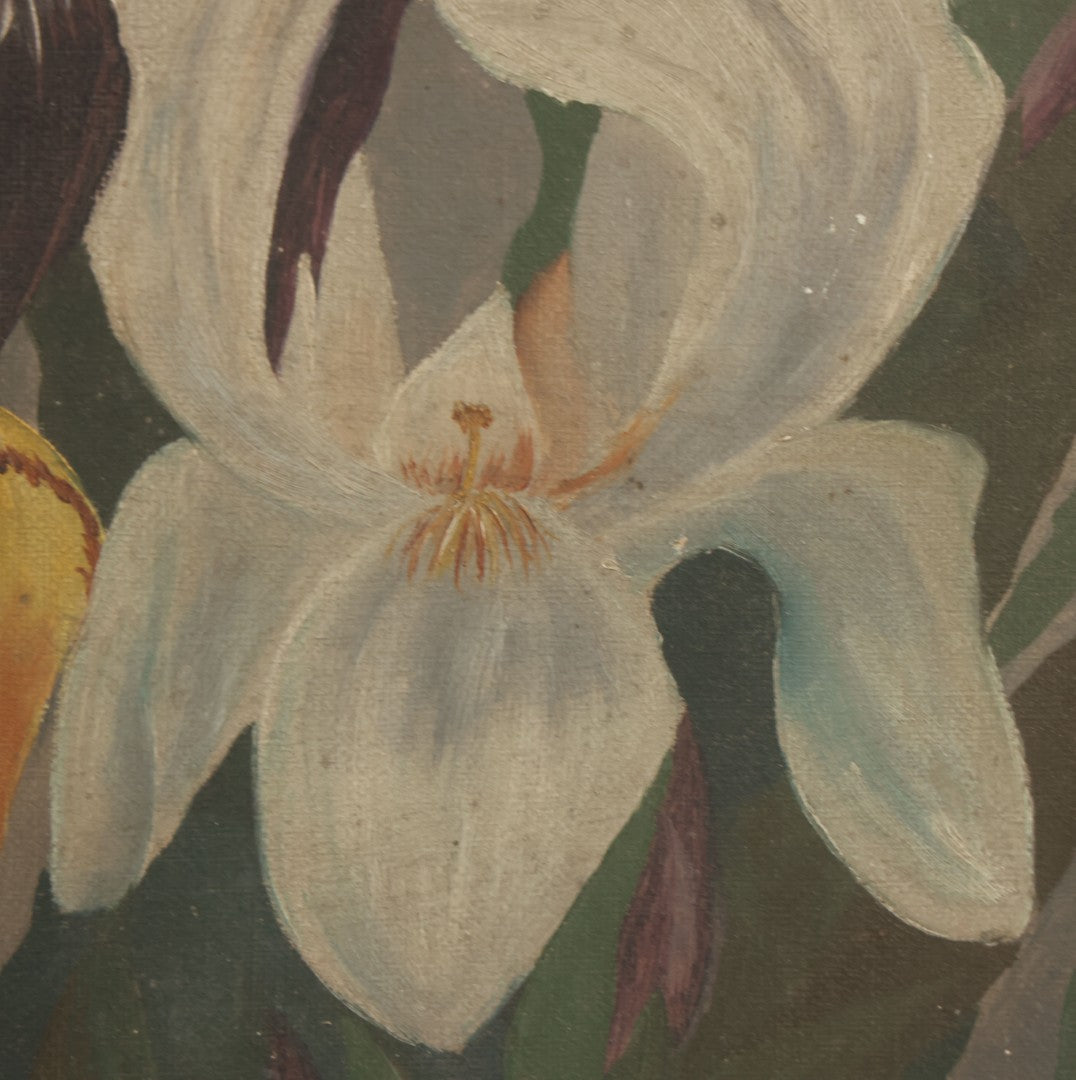 Lot 073 - Antique Oil On Canvas Painting Of Purple, Orange, And White Iris Flowers, In Badly Worn Gilt Gesso Frame, Note Wear And Tear, Circa 1880s, Overall Dimensions 16-3/4" x 22-3/4"