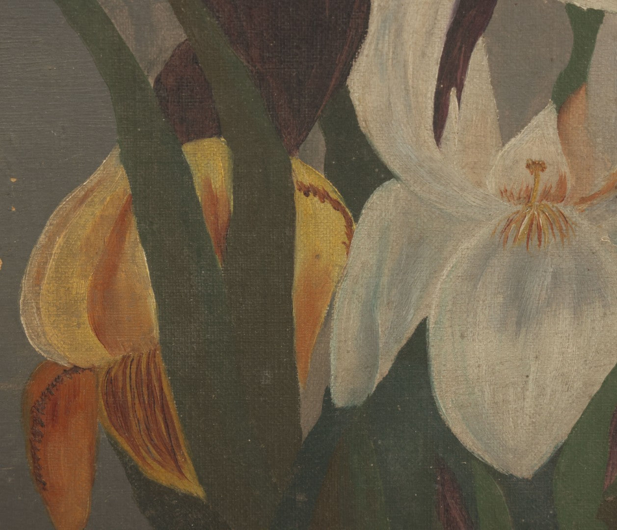 Lot 073 - Antique Oil On Canvas Painting Of Purple, Orange, And White Iris Flowers, In Badly Worn Gilt Gesso Frame, Note Wear And Tear, Circa 1880s, Overall Dimensions 16-3/4" x 22-3/4"