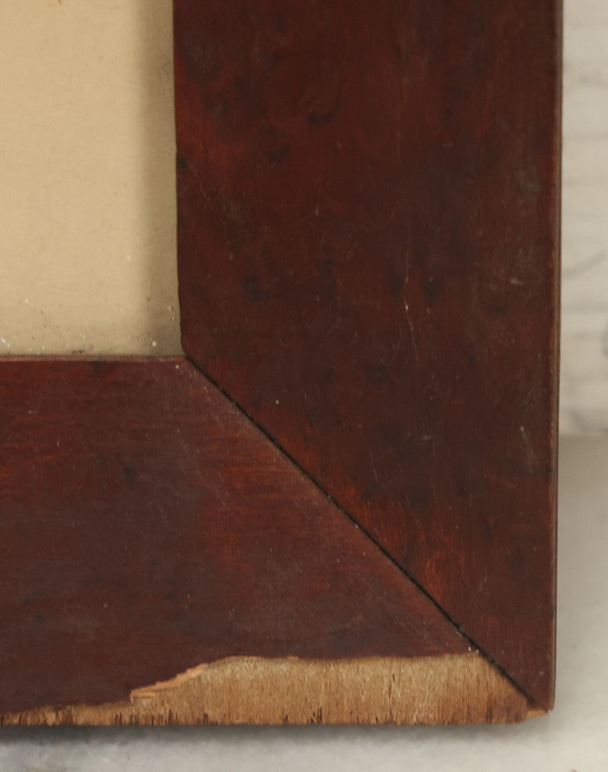 Lot 074 - Antique Hand Colored Botanical Copper Etching Of Eucomis Bifolia (Two-Leaved Eucomis), Plate No. 840, Curtis's Botanical Magazine, F. Sansom After Syd Edwards, In Frame, Dated 1805, Overall Dimensions 11-1/2" x 14-1/2"