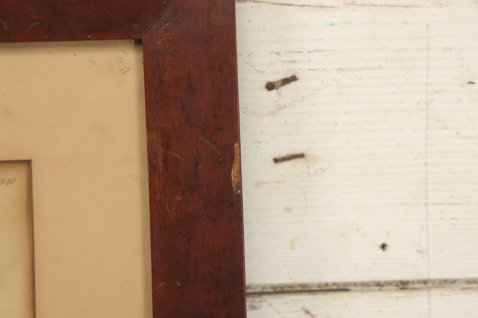 Lot 074 - Antique Hand Colored Botanical Copper Etching Of Eucomis Bifolia (Two-Leaved Eucomis), Plate No. 840, Curtis's Botanical Magazine, F. Sansom After Syd Edwards, In Frame, Dated 1805, Overall Dimensions 11-1/2" x 14-1/2"